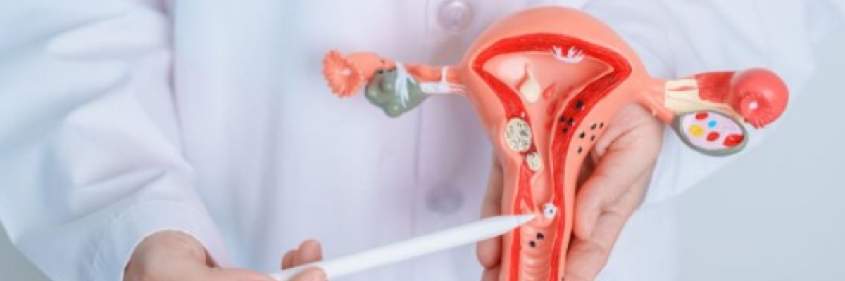 IVF and fertility treatment services by CurePath Health Solution providing specialized guidance and personalized assisted reproductive care for individuals and couples.